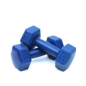 Delta DS21 2X1 Kg Dambıl Vinyl