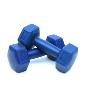 Delta DS21 2X1 Kg Dambıl Vinyl