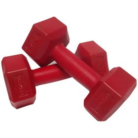 Delta DS21 2X1 Kg Dambıl Vinyl