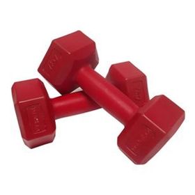 Delta DS21 2X1 Kg Dambıl Vinyl