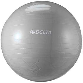 Delta DS565 Gümüş Rengi 65 cm Pilates Egzersiz Topu
