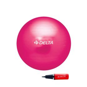 Delta Fuşya 65 cm Deluxe Pilates Topu ve Çift Yönlü Pompa Seti