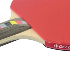 Delta Premier DS 954 Masa Tenisi Aksesuarı