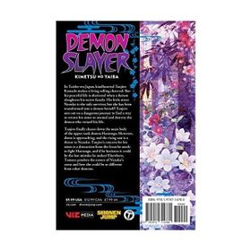 Demon Slayer: Kimetsu no Yaiba Vol 15 - Koyoharu Gotouge