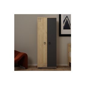 Demonte Decor Aryadd (B) 2 Kapaklı Antrasit Gardrop