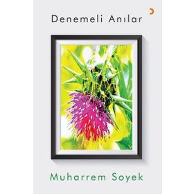 Denemeli Anılar - Muharrem Soyek