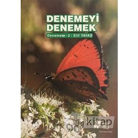 Denemeyi Denemek Kültüre Edebıyata ve Kitaplara Dair - Muharrem Dayanç