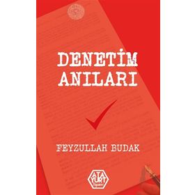 Denetim Anıları - Feyzullah Budak