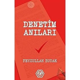 Denetim Anıları - Feyzullah Budak