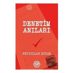 Denetim Anıları - Feyzullah Budak