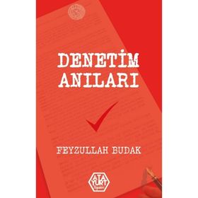 Denetim Anıları - Feyzullah Budak