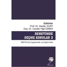 Denetimde Seçme Konular 3 - Ganite Kurt