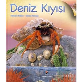 DENIZ KIYISI - HANNAH WILSON;SIMON MENDEZ