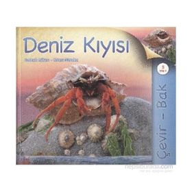 DENIZ KIYISI - HANNAH WILSON;SIMON MENDEZ