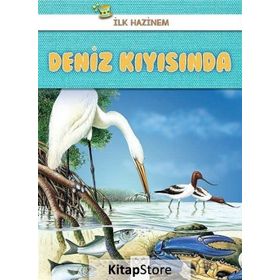 Deniz Kıyısında-İlk Hazinem - Denise Ryan