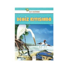 Deniz Kıyısında-İlk Hazinem - Denise Ryan