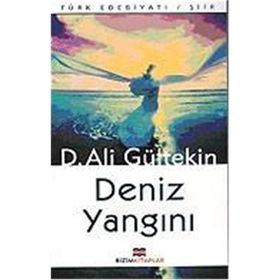 DENIZ YANGINI - D. ALI GÜLTEKİN