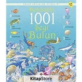 DENIZDEKI 1001 ŞEYI BULUN - KATIE DAYNES
