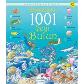DENIZDEKI 1001 ŞEYI BULUN - KATIE DAYNES