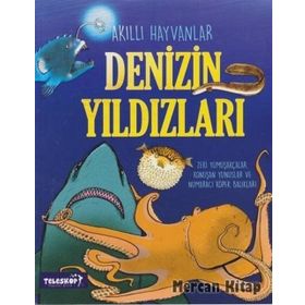 Denizin Yıldızları - John Farndon