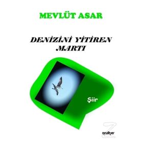 Denizini Yitiren Martı - Mevlüt Asar