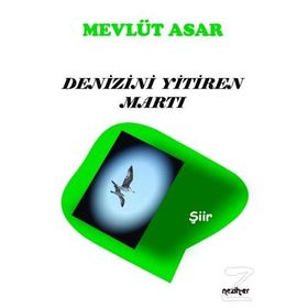 Denizini Yitiren Martı - Mevlüt Asar
