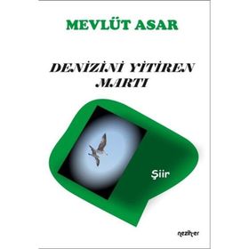 Denizini Yitiren Martı - Mevlüt Asar
