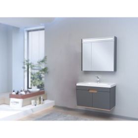 Denko Troy 80 cm Antrasıt Gri Hazar Banyo Dolabı