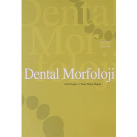 Dental Morfoloji - Arife Doğan