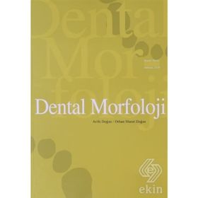 Dental Morfoloji - Arife Doğan