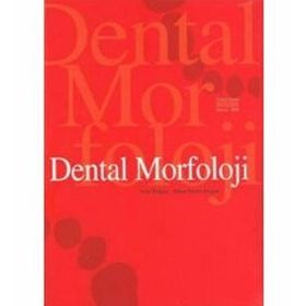 Dental Morfoloji - Arife Doğan