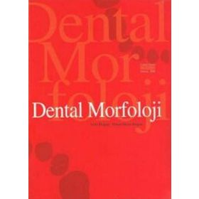 Dental Morfoloji - Arife Doğan