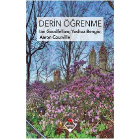Derin Öğrenme - Aaron Courville - Buzdağı Yayınları
