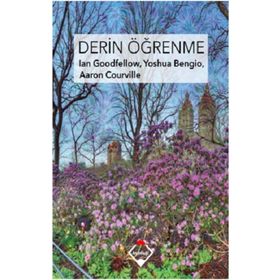 Derin Öğrenme - Aaron Courville - Buzdağı Yayınları