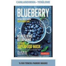 Dermal Blueberry Facial Sheet Maske