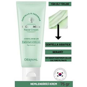 Dermal Cica x Mide Facial 75 ml Centella Asiatica ve Seramid Özlü Yüz Kremi