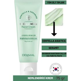 Dermal Cica x Mide Facial 75 ml Centella Asiatica ve Seramid Özlü Yüz Kremi