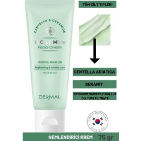 Dermal Cica x Mide Facial 75 ml Centella Asiatica ve Seramid Özlü Yüz Kremi