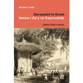 Dersaadet'te Emek Netice-İ Sa'y Ve Kayınvalide - Mehmet Tahir
