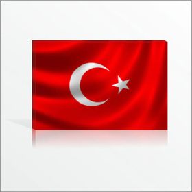 Dershane Devlet Dairesi Kurumlar İçin Türk Bayrağı Kanvas Tablo