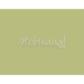 Derwent Drawing Pencil 4125 Pale Cedar Renkli Çizim Kalemi