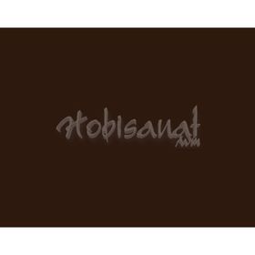 Derwent Drawing Pencil 6600 Chocolate Renkli Çizim Kalemi