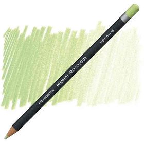 Derwent Procolour 45 Lıght Moss Kuru Boya Kalemi