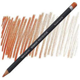 Derwent Procolour 62 Autumm Leaf Kuru Boya Kalemi