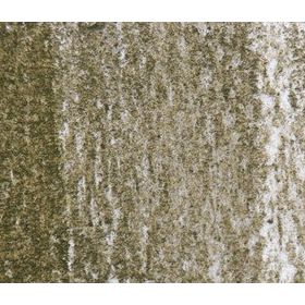 Derwent Tinted Charcoal Renkli Kömür TC15 Green Moss Füzen Kalem