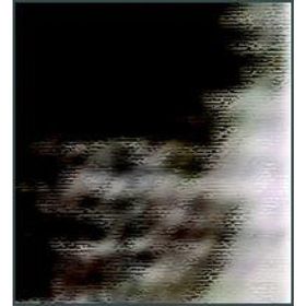 Derwent Tinted Charcoal Renkli Kömür TC19 Burnt Earth Füzen Kalem