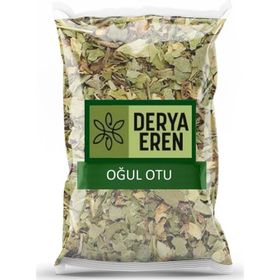 Derya Eren 1 kg Oğul Otu