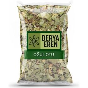 Derya Eren 1 kg Oğul Otu