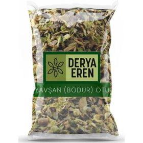 Derya Eren 100 gr Peryavşan Kısa Mahmut Otu Bodur Otu