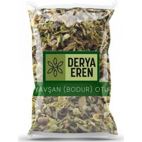 Derya Eren 250 gr Peryavşan Kısa Mahmut Otu Bodur Otu